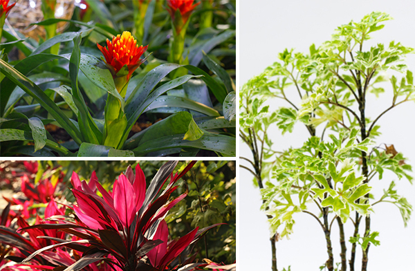 �����Ѵ�ǹ 10 ��Դ�����������èѴ�ǹ㹺�ҹ