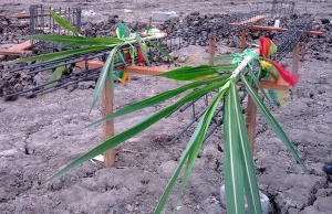 �Ը�¡����͡ ��ġ������������������� ������������͹���ҧ��ҹ