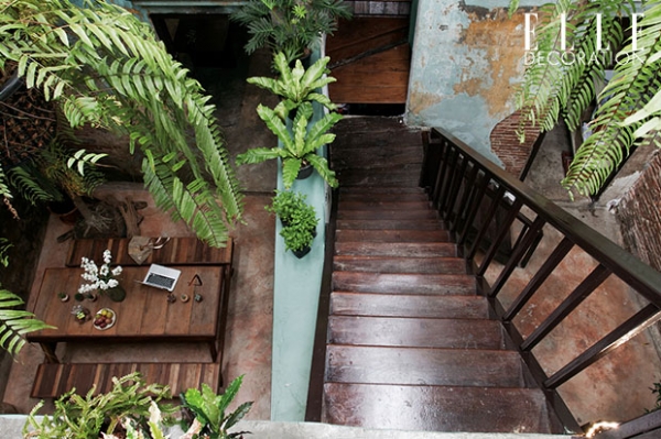 �觾�鹷��㨡�ҧ��ҹ ����ҡ����§��ʴ���Ẻ��չ������