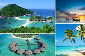 20 ������ ��������˹����͹��͹����¹ �������Ǣͧ����ѧ���ѹ�Ѻ�š