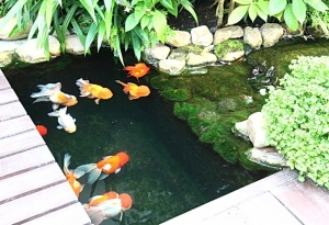 �պ������§��ҹ͡��ҹ ���͵������§���㹺�ҹ �������������ͧ⪤��� ����Թ ������ԭ������ͧ