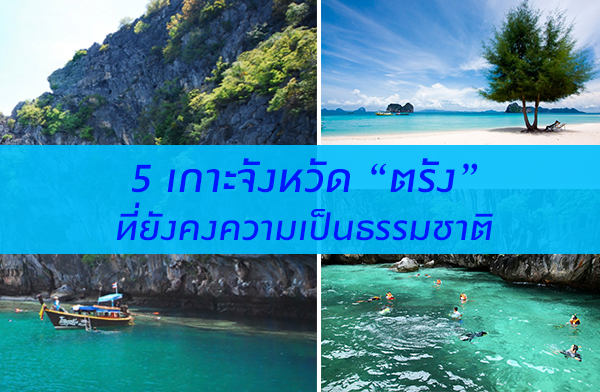 5 ��Шѧ��Ѵ ��ѧ ����ѧ�������繸����ҵ�