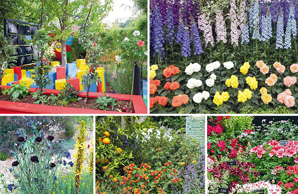 การเลือกใช้โทน สี เน้นใช้สีตามประเภทของบ้าน การเลือกใช้โทน สี เน้นใช้สีตามประเภทของบ้าน