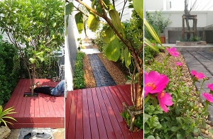 �Ѵ�ǹ���� �������觪��� ���鹷���ҹ��ҧ��ҹ��鹷��᤺� ��Ѵ�����§����ҹ����