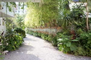 ����Ѻ���ź�ҹ��ǧ˹�ҽ� �������Ө������Ҿ