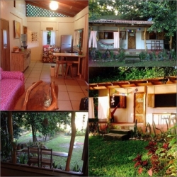 ��ҹ��ѧ��� ����ҡ��ͺ��� �ͺ�������¸����ҵ� �鹷ع���֧��ѡ�ʹ