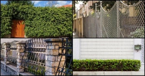 8 ����������觺�ҹẺ��ҧ� ����Ѻ��ҹ��������