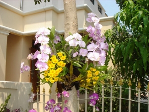 ෤�Ԥ��û�١��������㹺�ҹ ��èд����ѡ�� ������������§�� ����������׹