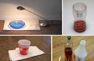 �Ǻ�������� DIY �Ѻ�ѡ��ŧ ����ѵ��������㹺�ҹ �ӧ��� ��ʹ��� ���������