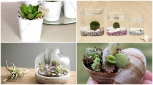 7 �Ը���������ʴ��� ����зӧҹ�ش�Ԥ���㹺�ҹ