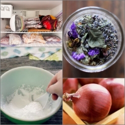 ��Ԥ�������¡ӨѴ��������㹤͹� �������˹��Ѵ������