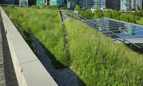 �ѹ������ 10 ��Դ ����ö�ŧ����ѧ����������