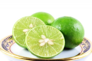 12 ��Ԥ ����Ѻ��Ѻ����¹��ҹ�����й�� ���س�Ҩ���������ҡ�͹