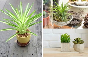 ��������� ���駷����зӧҹ �����������Ҵ��Ź��¡�����§���ѧ䧡������