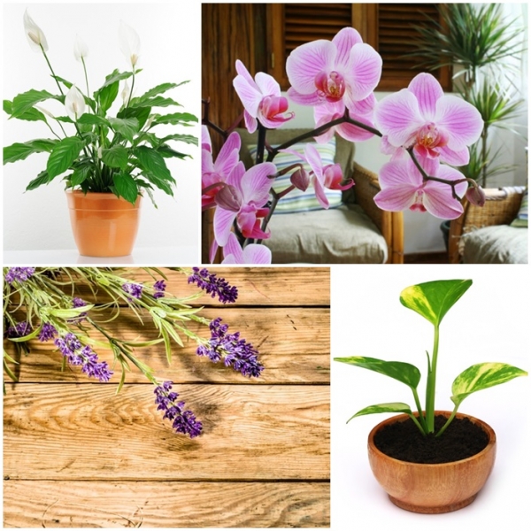 10 ����鵡�觺�ҹ �������������آ�����س