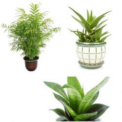 9 ������١�ͧ���ͧ�͹ ���������Ѻ�ء�׹