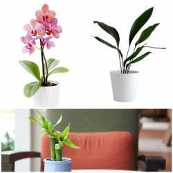 10 ����»�١��������ͧ��� ����§�������㹷���ʹ�ʧ