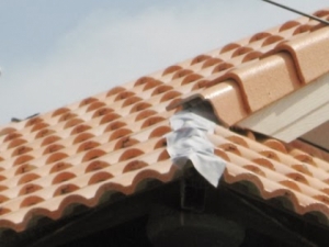 ��ѧ�����ǻѭ�ҷ���������� �������ǫ����ա���ѧ��������͹��� ���ջѭ�ҷ����Ҵٷҧ�����