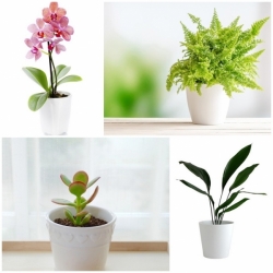 ���������١���ͧ��� ����§���� ���ŧ��� ���㹷���Ѻ�ʧ