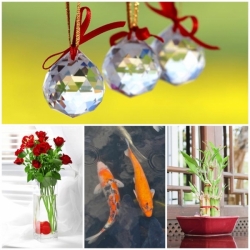 �ͧ���� 14 ����觺�ҹ �������������յ����ѡ�ǧ����