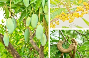 10 ��������� ��褹������١���������´� ��û�١�����˹�Һ�ҹ