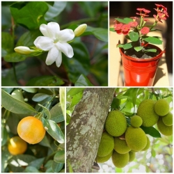 �ǧ���¨Ѵ�ǹ������ ������з�Ȥ�û�١������������ö֧�д� ?