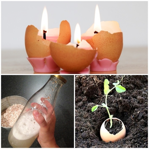 9 สิ่งมหัศจรรย์จากเปลือกไข่ ที่สามารถนำมาทำอะไรได้เจ๋งสุดๆ 9 สิ่งมหัศจรรย์จากเปลือกไข่ ที่สามารถนำมาทำอะไรได้เจ๋งสุดๆ