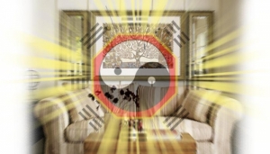 7 ��Ԥ���觺�ҹ�����ѡ�ǧ���� ����Ѻ������վ�鹰ҹ��ҹ���