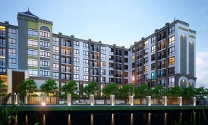 ���й�㹡�����͡���� ����� ⫹ �͹������� ���������������Ѻ��Ǥس