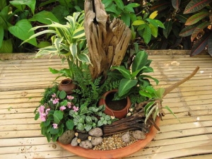 ෤�Ԥ������鹢ͧ��� �Ѵ�ǹẺ�Ҵ�ҧ�Ѻ��� �鵡�觺�ҹ������