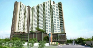 9 �Ը� ������͡�͹� ���͡���ⴹ� �����������Ѻ�س