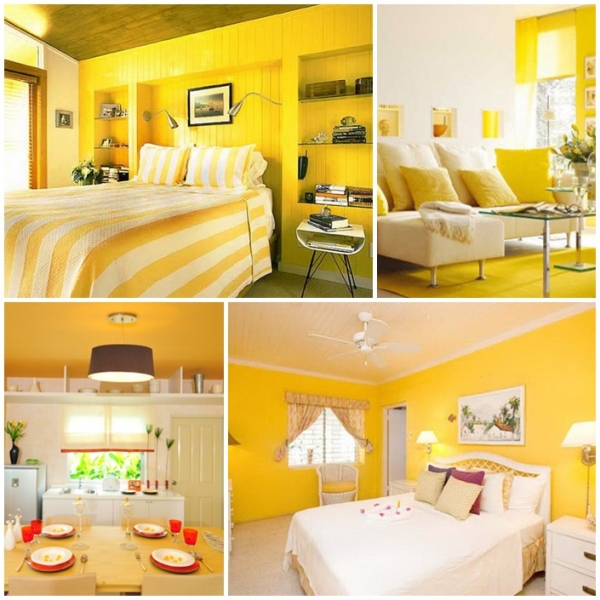 Yellow is back ! ������ͧ���ѧ�С�Ѻ��