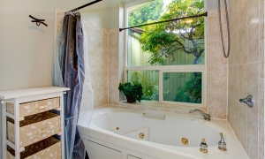 ��������ʴ������Ѻ��ͧ��� ���¡�èѴ����ʹ����