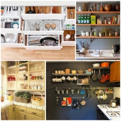 9 ��ѡ��èѴ����������º���� ������͵�������