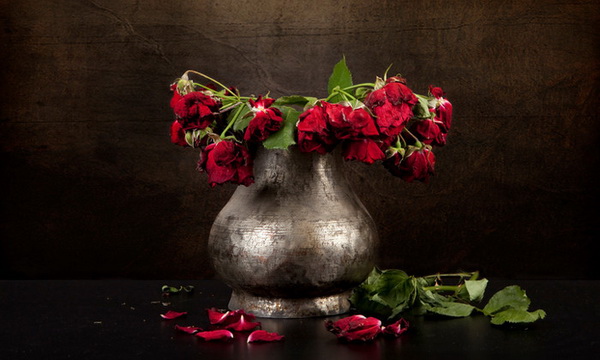 9 ��Ԥ���ͤ��������Ǣͧ�͡��� �������Ѻ�����ç����ҹ�������