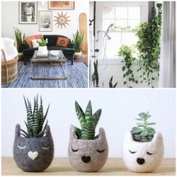 ��������ʴ�������ҹ�س���¾ѹ������������ 5 ��Դ