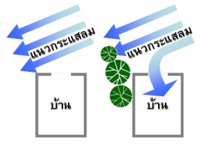 16 ��������ͧ������͡��ҹ�����ѡ�ǧ����