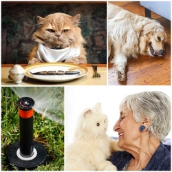 6 ��ѡ��ü�͹�ç��Ѵ��ǨèѴ ᢡ����Ӥҭ���ǹ㨢ͧ���