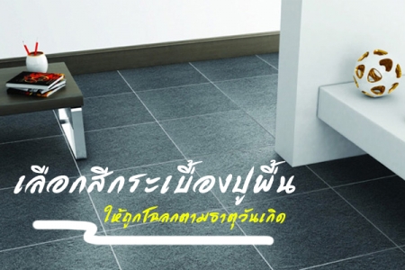 ���͡�ա�����ͧ�پ�� ���١�š����ҵ��ѹ�Դ