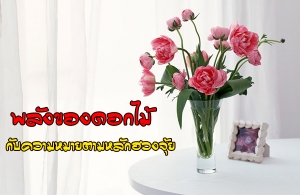 ��ѧ�ͧ�͡���Ѻ�������·ҧ��ҹ�ǧ����