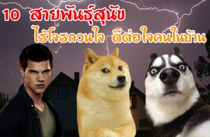 10 ��¾ѹ����عѢ ����áǹ� �յ��㨤�㹺�ҹ