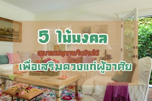 5 �����������ö��١���㹺�ҹ�� ����������ǧ���������