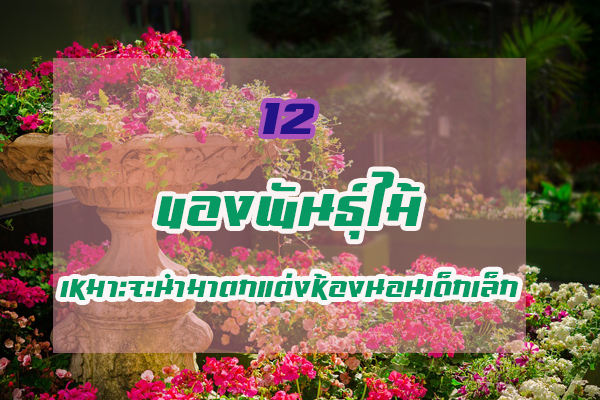 12 ��Դ�ͧ�ѹ������������Шй��ҵ�����ͧ�͹�����