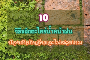 10 �Ըբ�Ѵ�������˹�ҽ� ��ͧ�ѹ��ҹ�����������§��