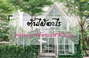 �͡�ҡ�١�Ш����� ����骹Դ㴷���û�١�����ҧ�ҡ��Ǻ�ҹ