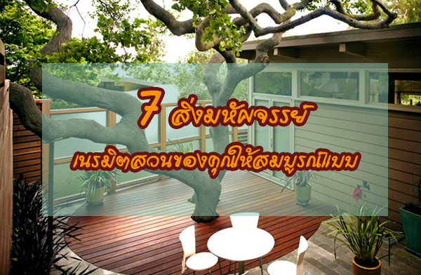 7 สิ่งมหัศจรรย์ที่จะมาเนรมิตสวนของคุณให้สมบูรณ์แบบ 7 สิ่งมหัศจรรย์ที่จะมาเนรมิตสวนของคุณให้สมบูรณ์แบบ