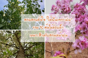 �ǹ��´��� "��������н�" ��� 10 �����ͺ��� ���������Ѻ�ǹ˹�ҽ�