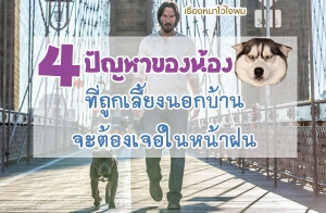 4 �ѭ�Ңͧ��ͧ��ҷ��١����§�͡��ҹ ���е�ͧ���˹�ҽ�