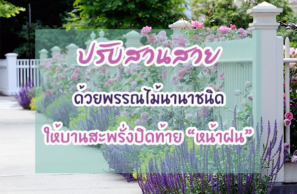 ��Ѻ�ǹ��´��¾�ó���ҹҪ�Դ ���ҹ�о��觻Դ����˹�ҽ�