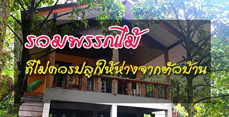 �����ó��� �������û�١�����ҧ�ҡ��Ǻ�ҹ